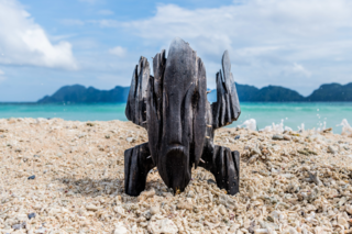 ‘Koh-Lanta, le totem maudit’: un quatuor sur les poteaux !