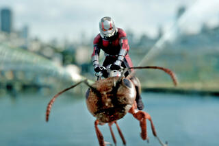 Beeld uit 'Ant-Man'