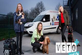 Veto & Co, RTL TVI