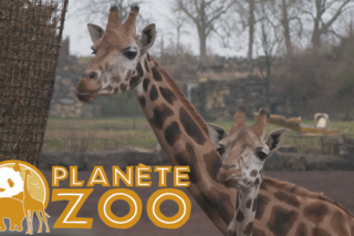 'Planète Zoo'