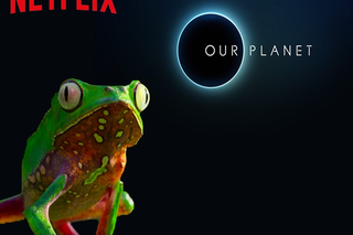 Zijn dit de beste educatieve tv-programma's voor kinderen?