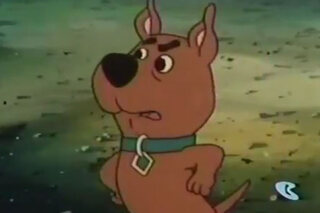 Les stars des séries TV qu'on adore détester