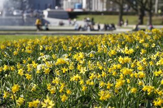 Een zonnige lentedag