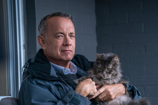 Le Pire voisin au monde