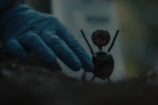 Ces séries étrangères sur Netflix vous tiendront en haleine.