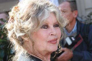 Bardot