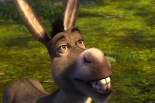 Shrek, ce que vous n'aviez pas vu dans le film