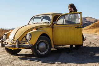 Bumblebee