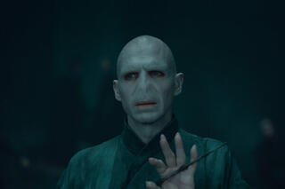 Voldemort Fiennes