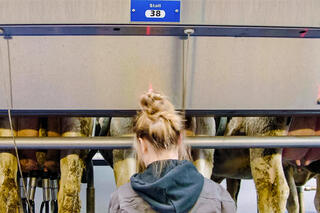 In de eerste aflevering maken we kennis met Elien en William.