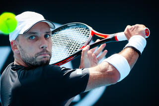 Steve Darcis