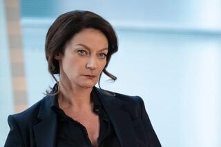 The Flight Attendant