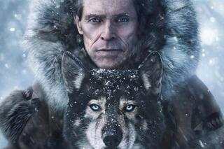 Togo un nom de chien héroique chez Disney