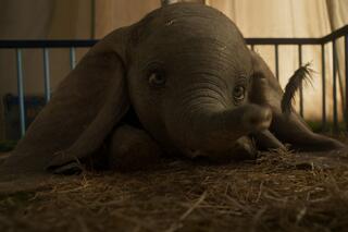 Dumbo