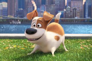 Max, l'animal héros du film d'animation Comme des bêtes.