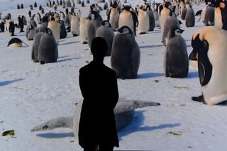 March Of The Pinguins