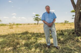 Sir David Attenborough is niets minder dan de vader van BBC-documentaires.