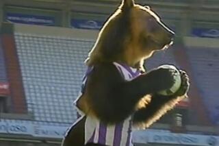 Ours Valladolid mascotte