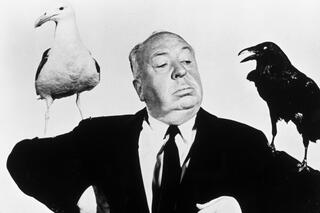 Alfred Hitchcock pour son film 'Les Oiseaux'