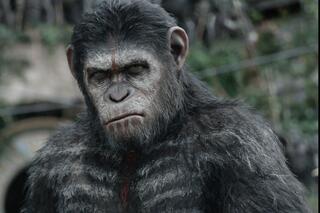 Dawn of the Planet of the Apes
