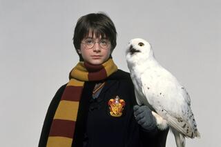 Harry Potter, le premier film de la saga au programme télé de cette semaine