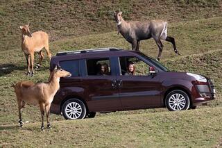 10 voitures familiales (6 places et +) à moins de 140 g/Km CO2