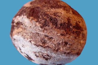 Les plus grands mystères de la nature