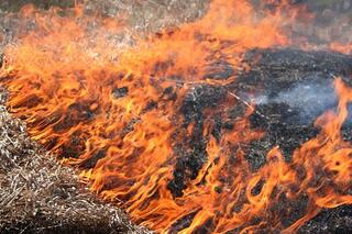 Les plus grands mystères de la nature