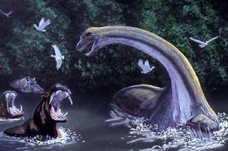 Mokele-mbembe, le monstre du Congo