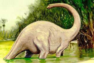 Mokele-mbembe, le monstre du Congo