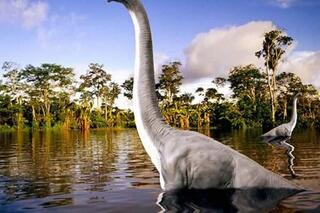 Mokele-mbembe, le monstre du Congo