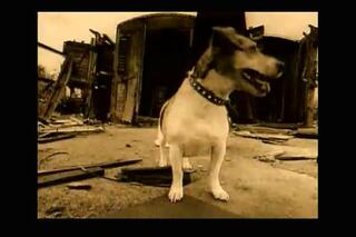 Le top 10 des chansons scandaleuses