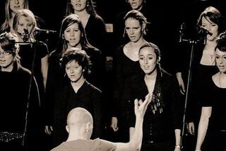 Les musiciens belges qui ont réussi en Amérique