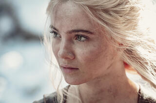 The Witcher