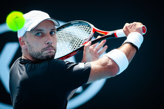 Steve Darcis