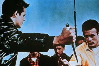 Rebel without a cause