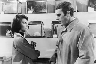 Une certaine rencontre