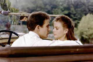 La Fièvre dans le sang