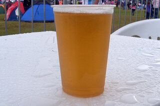 Les festivaliers : qui sont-ils, que font-ils, qu'est-ce qui les fait avancer ?