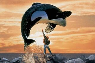 Free Willy