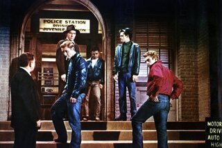 Rebel without a cause