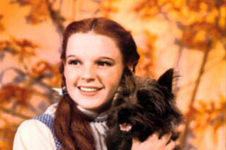 Judy Garland The Wizard of Oz