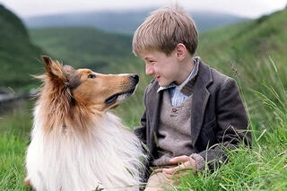 Lassie 2005