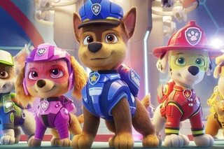 Paw patrol