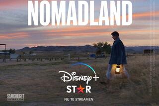 Nomadland Disney+