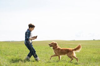 A Dog's Purpose