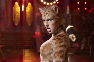 Taylor Swift Cats 2019