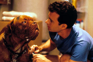 Turner & Hooch