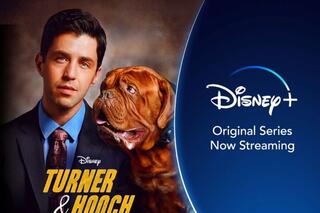 Turner & Hooch sur Disney +