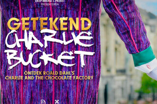 Meet the Charlies Getekend Charlie Bucket Charlie and the Chocolate Factory Deep Bridge Pickx+